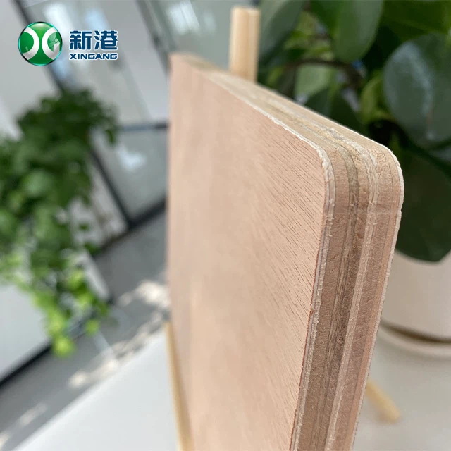 Phenolic 12mm Okoume Plywood