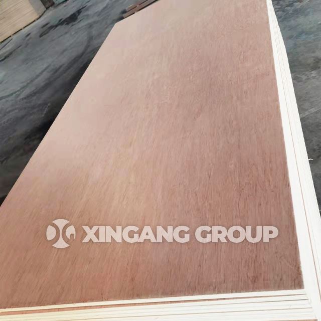 Nội thất ván ép thương mại 18mm Đóng gói ván ép Mặt sau cho tấm gỗ bạch dương Bintangor Okoume MR E0 E1 E2