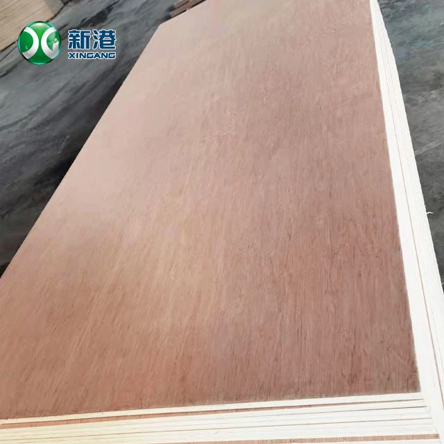 BB/CC Grade 18mm Bintangor Commercial Plywood For Furniture