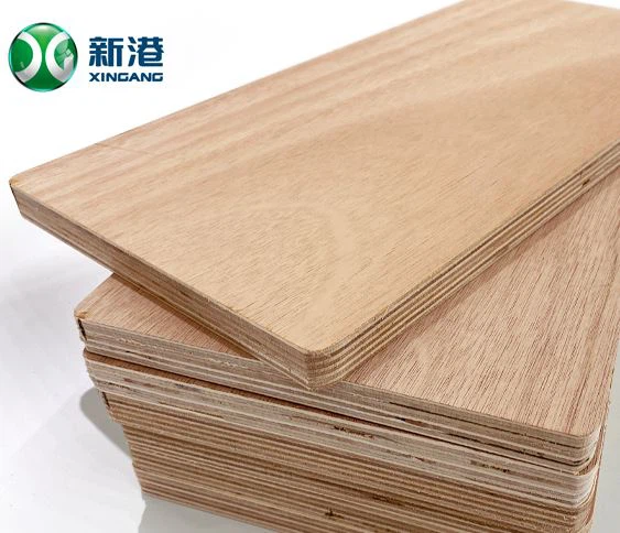 Ván ép chất lượng cao 9mm To18mm cho Châu Âu