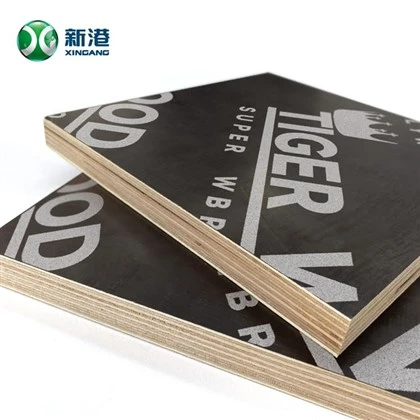 Nhà sản xuất ván ép 15mm tại Trung Quốc