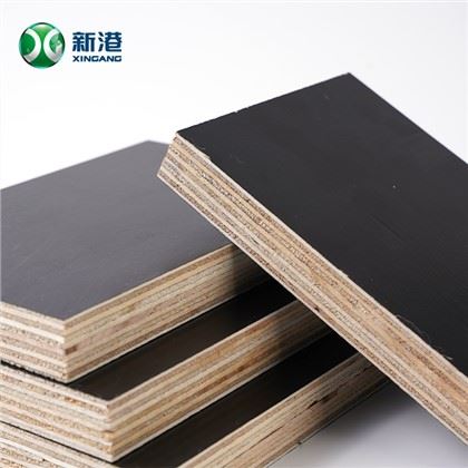 Ván ép cốp pha phủ phim 18mm