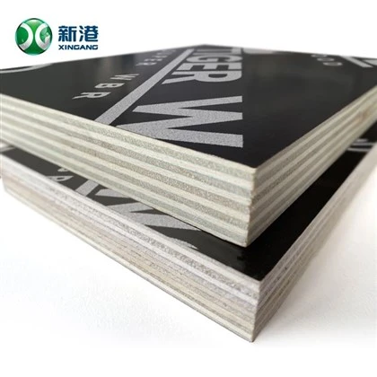 18mm Poplar Core Marine Plywood-Tập đoàn Xingang