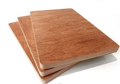 Ván ép Bingtangor cho đồ nội thất hoặc trang trí