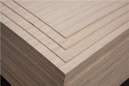 Ván ép thương mại veneer được thiết kế