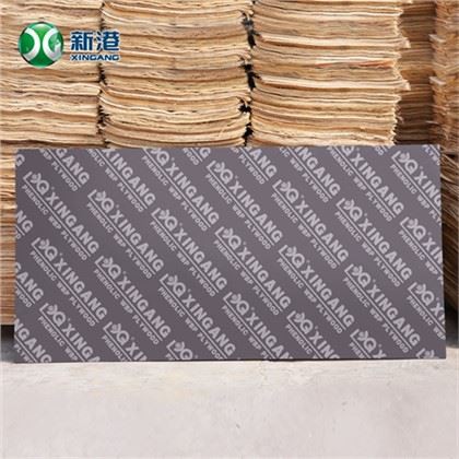 Ván ép phủ phim 12mm