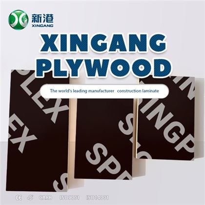 Ván ép tráng phim Xingang Ván ép bạch dương để xây dựng