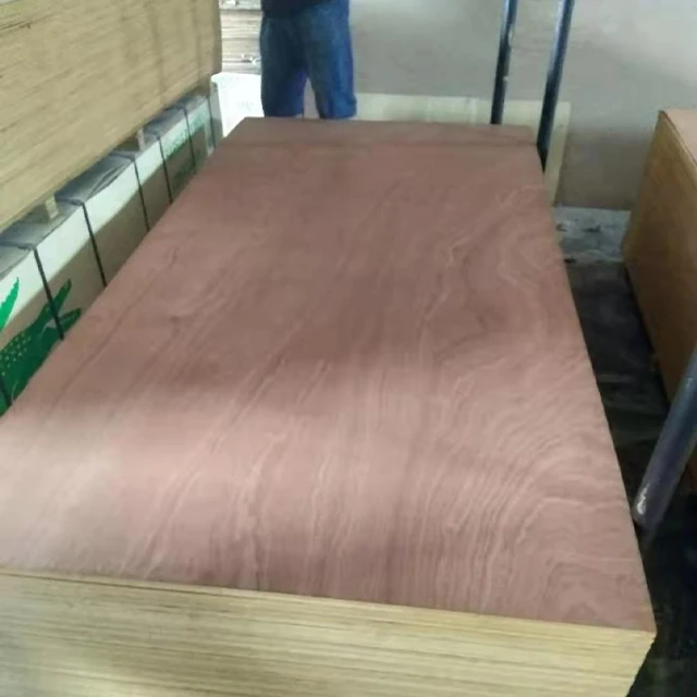 Sapeli Plywood