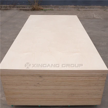 Ván ép bạch dương